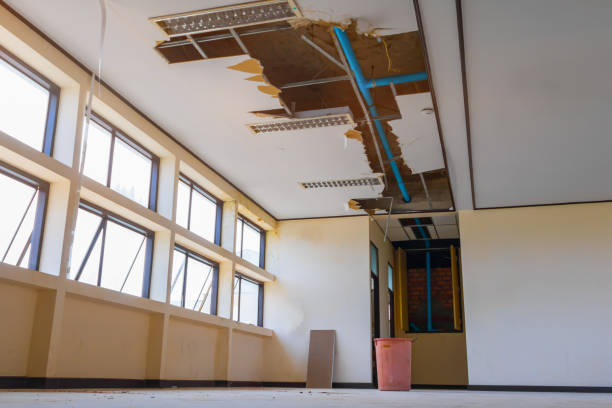 Best Sewage cleanup and water damage restoration  in Salida Del Sol Estates, TX