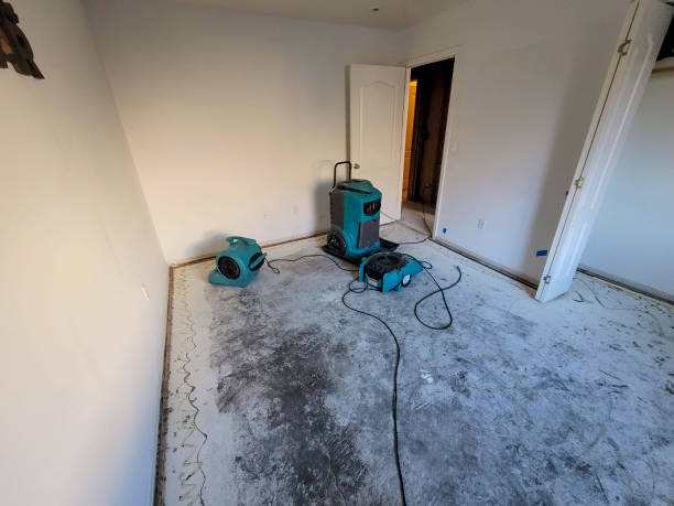 Best Basement water damage restoration  in Salida Del Sol Estates, TX