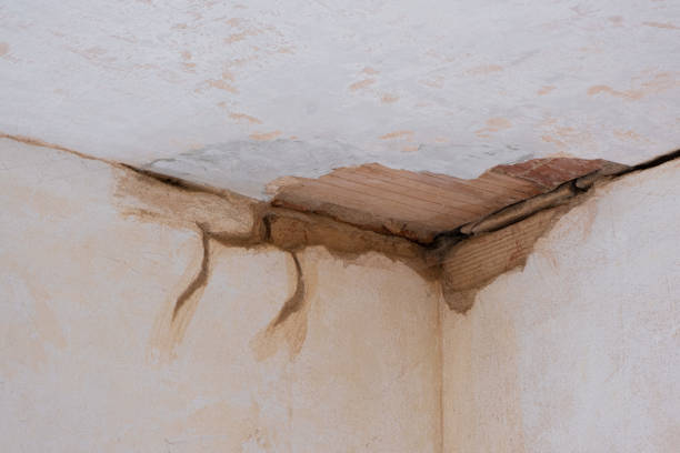 Best Flooded house restoration  in Salida Del Sol Estates, TX