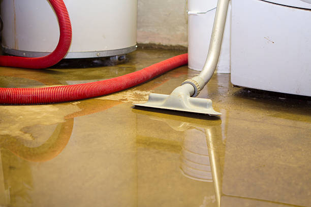 Professional Water damage restoration in Salida Del Sol Estates, TX