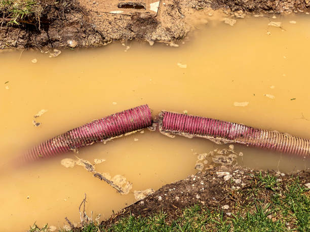 Best Commercial water damage restoration  in Salida Del Sol Estates, TX